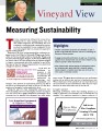 Icon of Measuring sustainability