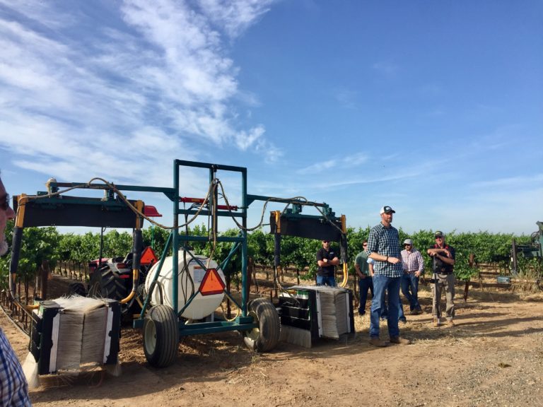 Chemical Mechanical Suckering Demo June 6th 2017 Lodi Growers