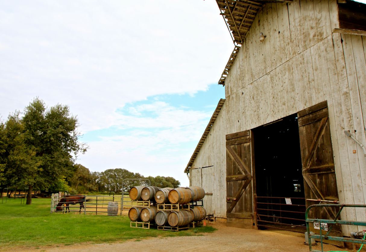 The Economic Impact of Food and Beverage Processing in California