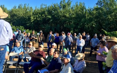 ROOTSTOCK FIELD DAY | 7.11.2019