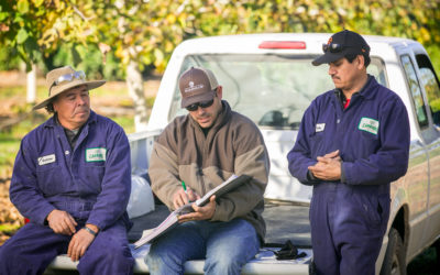 CAL/OSHA ENFORCEMENT TRENDS IN AGRICULTURE
