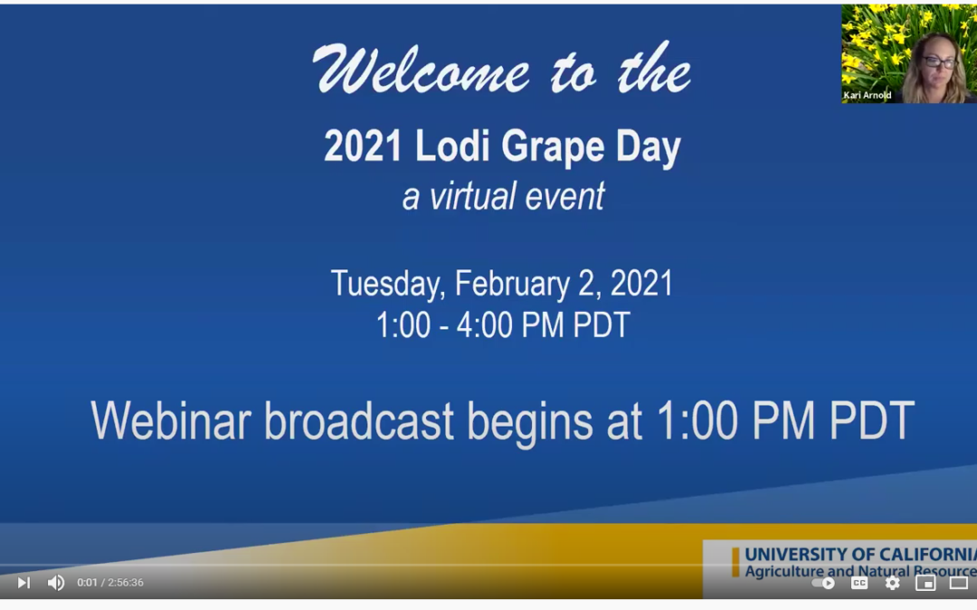 2021 LODI GRAPE DAY RECORDING NOW AVAILABLE