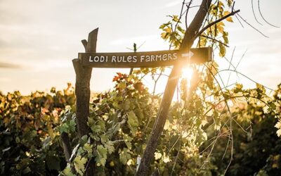 LODI RULES WHEN IT COMES TO SUSTAINABILITY