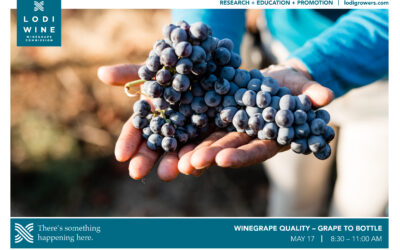 WINEGRAPE QUALITY – GRAPE TO BOTTLE | 5.17.2022