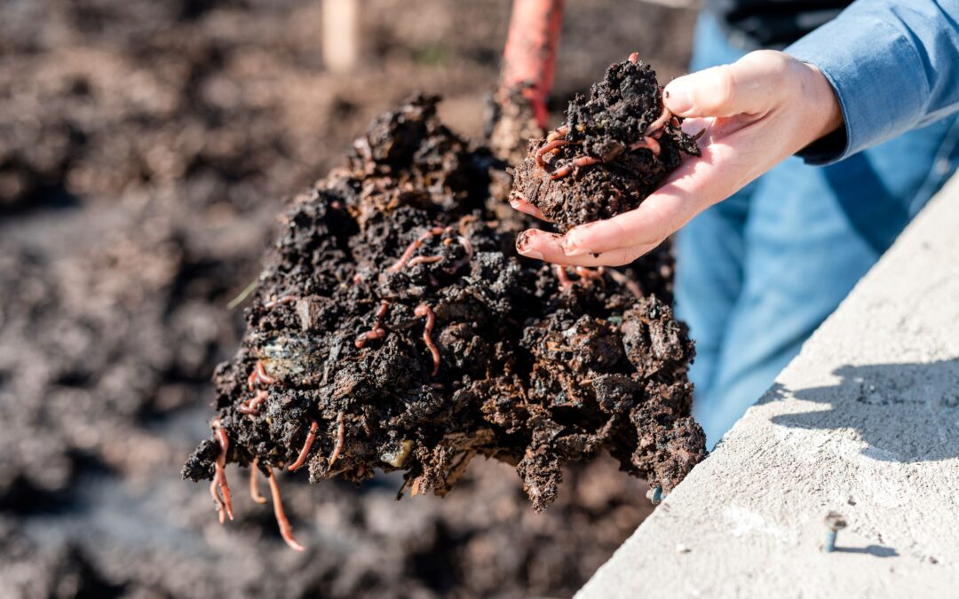 THE POWER OF EARTHWORMS: BOOSTING SOIL HEALTH & CROP YIELDS