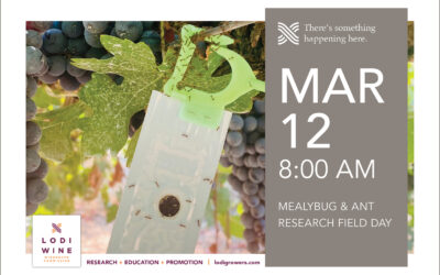MEALYBUG & ANT RESEARCH FIELD DAY | 3.12.24