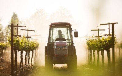 FUNGICIDE RESISTANCE IN GRAPE PATHOGENS – A FRAME UPDATE