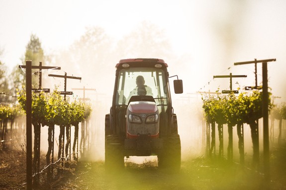 FUNGICIDE RESISTANCE IN GRAPE PATHOGENS – A FRAME UPDATE