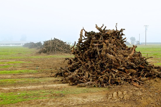 HOW CHEAP IMPORTS UNDERMINE CALIFORNIA WINEGROWERS