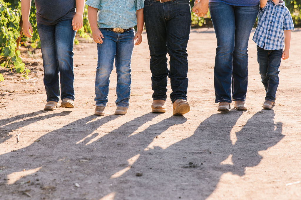 WHY LODI IS FORMING A WINERY IMPROVEMENT DISTRICT