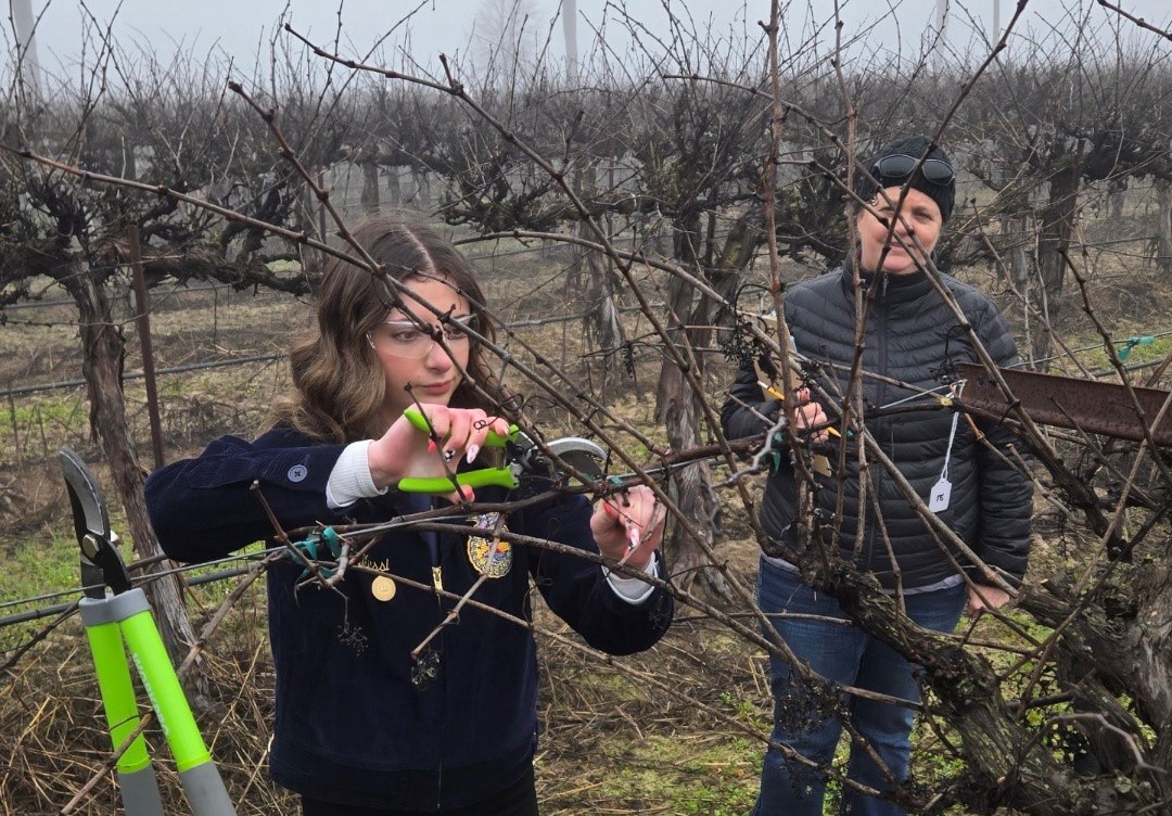 LODI FOSTERS THE NEXT GENERATION OF PRUNING CHAMPIONS